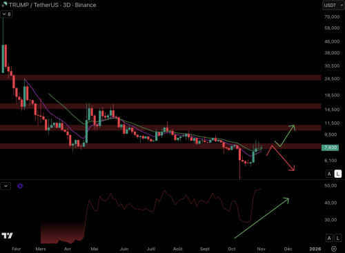 Altcoins Are Falling But TRUMP Memcoin Is Back! Cryptocurrencies to Watch - INFBusiness