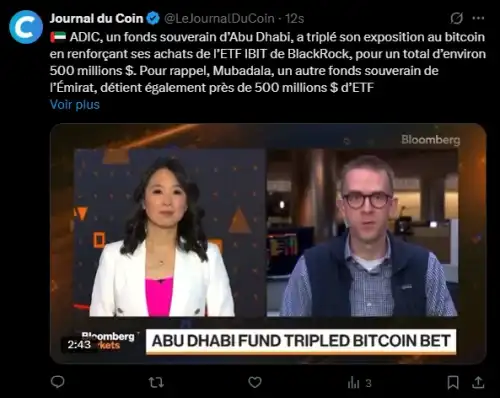 Bitcoin: One of Abu Dhabi's sovereign wealth funds triples its investment in BlackRock ETF - INFBusiness