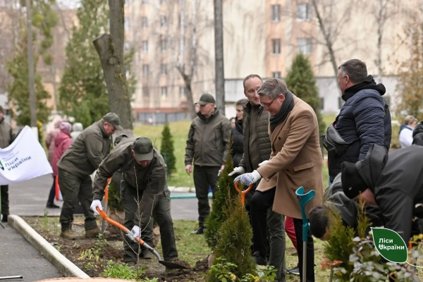 Photo: SE Forests of Ukraine and the State Bureau of Investigation A billion trees or a clumsy anti-crisis of the State Forests of Ukraine 4