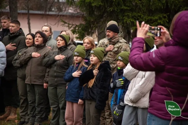 Photo: SE Forests of Ukraine and the State Bureau of Investigation A billion trees or a clumsy anti-crisis of the State Forests of Ukraine 3