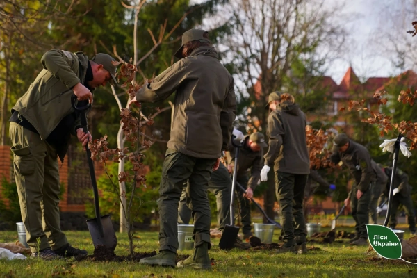 Photo: SE Forests of Ukraine and the State Bureau of Investigation A billion trees or a clumsy anti-crisis of the State Forests of Ukraine 5
