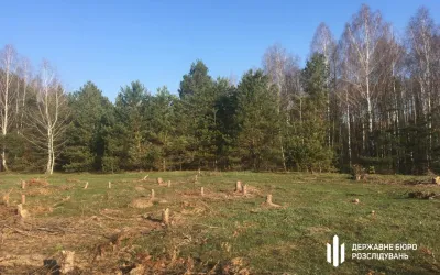 Photo: SE Forests of Ukraine and the State Bureau of Investigation A billion trees or a clumsy anti-crisis of the State Forests of Ukraine 6