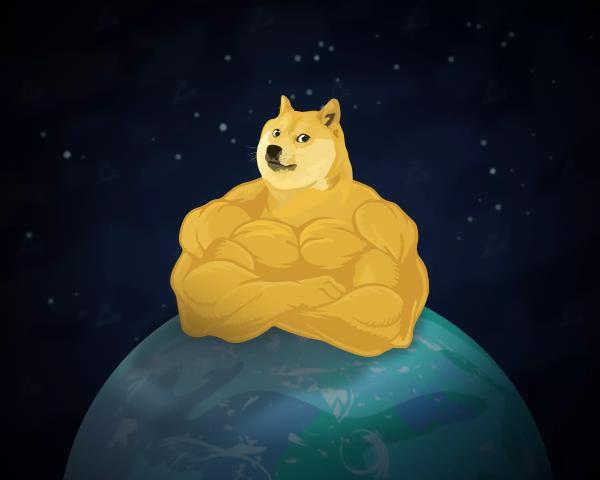 Гаманець із Dogecoin відправлять на Місяць - INFBusiness