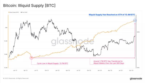 Glassnode: в очікуванні халвінга та ETF ходлери зібрали рекордну кількість монет - INFBusiness