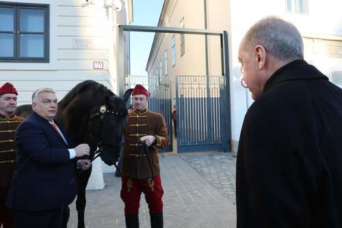 Прем'єр Угорщини Орбан подарував голові Туреччини Ердоганові коня - INFBusiness