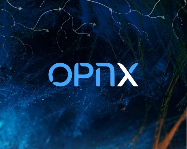 Токен OPNX виріс на 60% на тлі новин про Су Чжу - INFBusiness