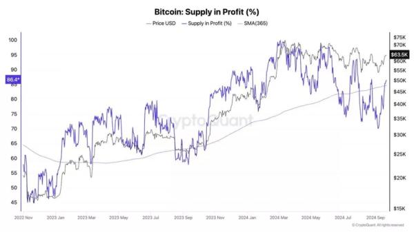 CryptoQuant: біткоїн зросте в ціні через збільшення частки «прибуткових» монет - INFBusiness