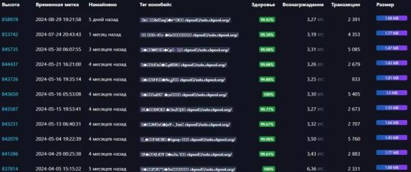 За 11 років соло-майнери видобули щонайменше 329 блоків біткоїна - INFBusiness