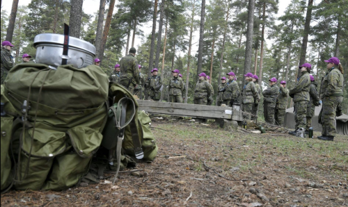 How Europe Prepares for War: Survival and Shooting Training Manuals - INFBusiness