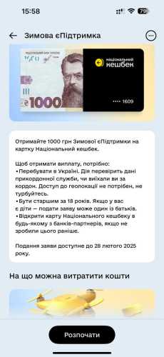 Зимова єПідтримка: як подати заявку на 1000 Зеленського та її підводні камені - INFBusiness