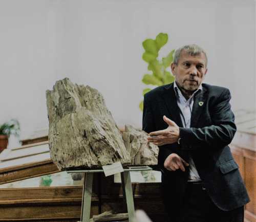 Просто так ніхто не копатиме: Експерти про угоду щодо рідкоземельних металів - INFBusiness