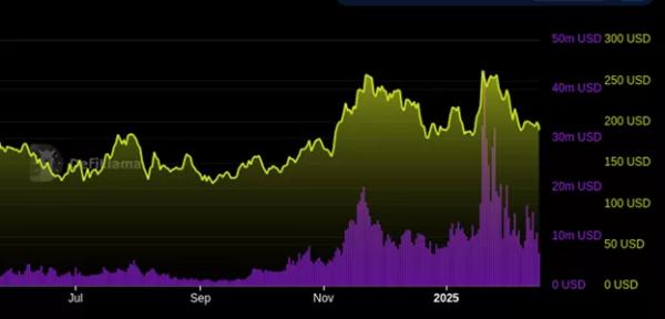 Експерт оцінив доходи DeFi-платформ від ажіотажу навколо мем-коїнів - INFBusiness