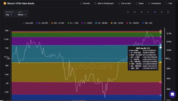 UTXO BTC