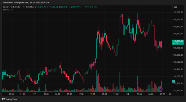 Біткоїн може досягти піку поточного циклу наприкінці серпня, заявив аналітик CryptoQuant під псевдонімом Yonsei_dent, спираючись на метрику MVRV. BTC/USD графік