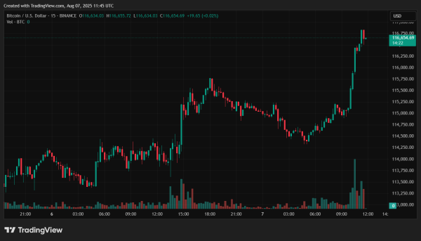 Падіння ціни біткоїна нижче $116 000 призвело до зменшення кредитного плеча на ринку та зниження прибутковості операцій короткострокових тримачів. Про це йдеться у звіті аналітиків Glassnode. Експерти Glassnode зафіксували зниження ліквідності та охолодження ринку