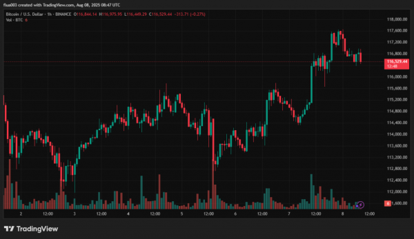 Біткоїн демонструє ознаки короткострокової консолідації після оновлення ATH вище $123 000 у липні. На це вказали аналітики CryptoQuant, пише The Block. CryptoQuant: біткоїн увійшов у фазу «бичачої паузи» - INFBusiness