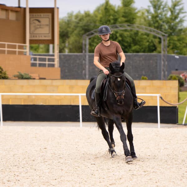 Equicor: професійна верхова їзда та кінні прогулянки біля…