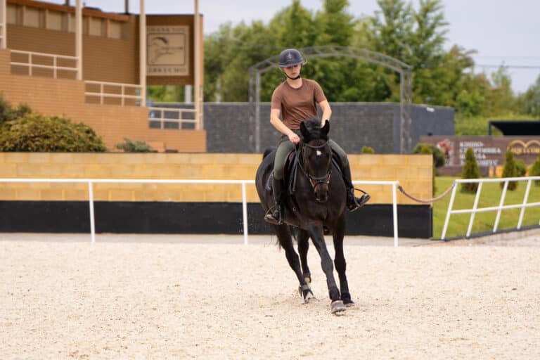 Equicor: професійна верхова їзда та кінні прогулянки біля Львова - INFBusiness