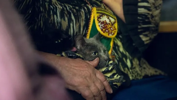 За рік евакуювали понад 130 тисяч українців, 4,6&hellip;