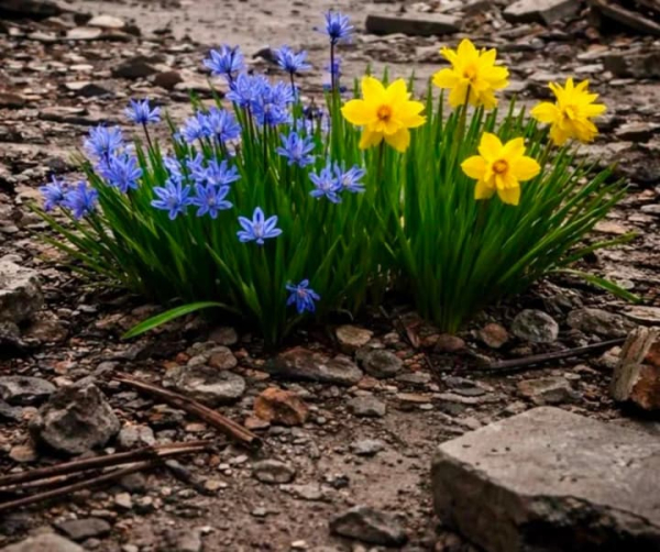 Софія Ротару щемно відзначила четверту річницю повномасштабного вторгнення…