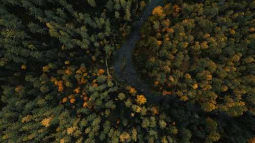 Планета виявилася більш заплутаною: чому наші передбачення щодо глобального потепління помилкові