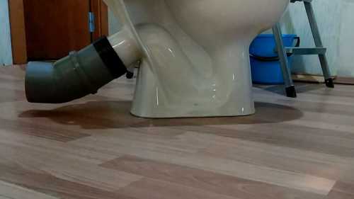 Чому в туалеті пахне каналізацією, хоча протікання немає?