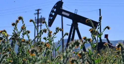 Продовольчий дефіцит та відмова від автівок: наслідки паливної кризи