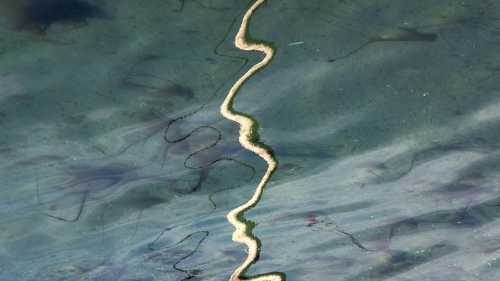 Науковці переписали закони фізики. Рідини виявляються здатними до розривів, на кшталт твердих&hellip;