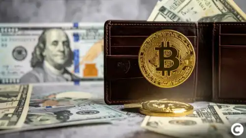 Повний посібник з гібридних криптогаманців