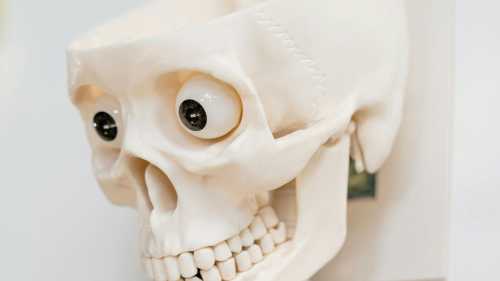 Чому наш мозок працює не так, як ми уявляли. Керівництво до власного&hellip;