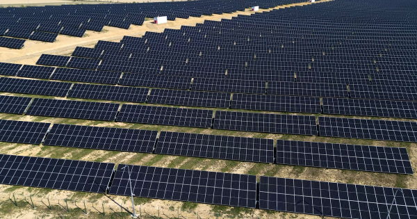 ETL Group, LONGi: як технології підвищують дохід СЕС