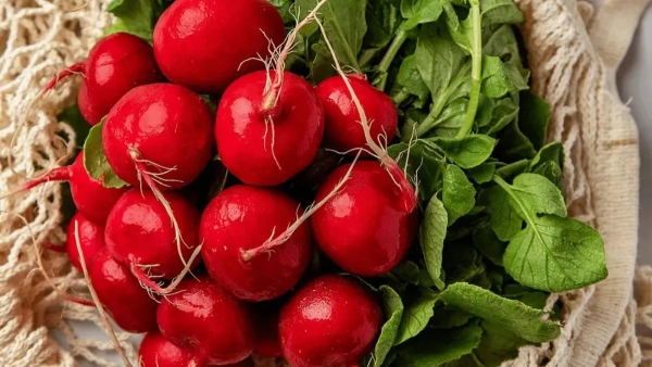 Редиска в українських супермаркетах: зіставлення вартості та передбачення зниження цін