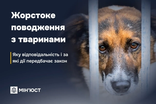 Жорстоке поводження з тваринами Фото: Міністерство юстиції
