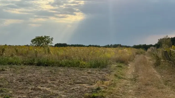 Чи може сусід претендувати на вашу землю, якщо вона не приватизована