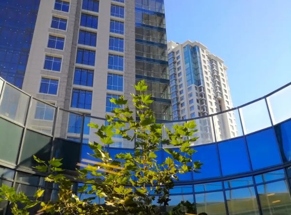 City One Development: результати роботи та аналіз первинного ринку житла за 2024 рік