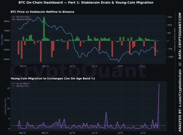 Дашборд з двох графіків: чистий приплив стейблкоїнів на Binance та міграція молодих монет на біржі.
