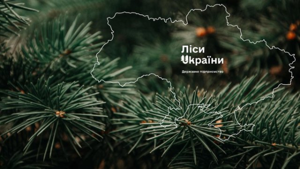 “Телент Едвайзорс” перемогла у конкурсі на посаду рекрутера для пошуку генерального директора ДП “Ліси України”