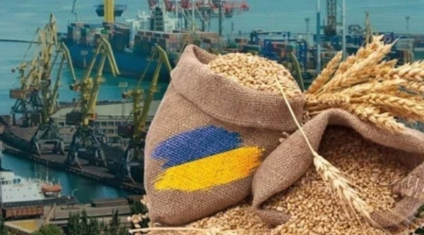 Закриття портів шкодить не тільки зерновому експорту, але й становить ризик для всієї економіки, — Ірина Коссе — Мінфін