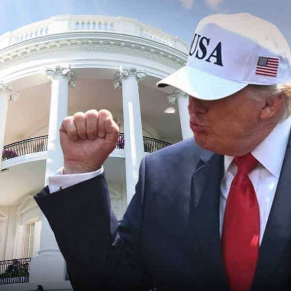 Trump Digital Gold обвалився на 99% за лічені хвилини