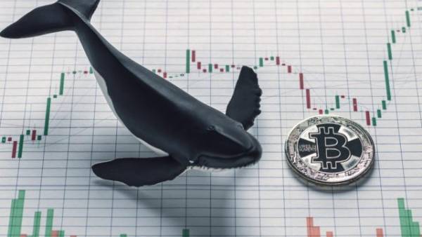 Біткоїн-кит з 2011 року отримав $10 млн прибутку