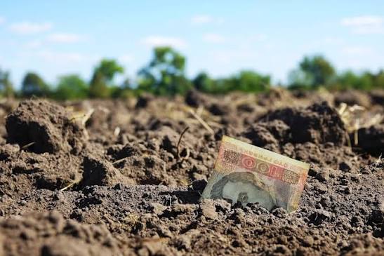 У Верховній Раді зареєстрували законопроєкт № 15552, який передбачає податкову пільгу для власників і користувачів земель, що постраждали через війну.