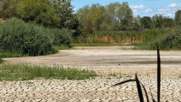 Забудова Ужгорода загрожує пересохнути Чорне озеро
