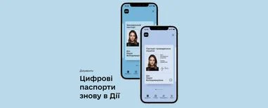 Митний контроль: Чи пустять в ЄС з “закордонним паспортом” у “Дії”