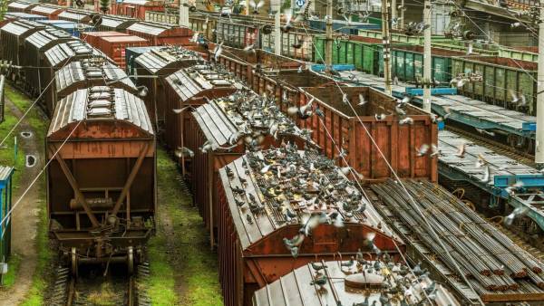 Молдова вдвічі здешевлює транзит українських вантажів залізницею