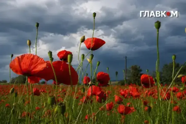 Штормове попередження: яких областей України торкнеться негода 8 серпня