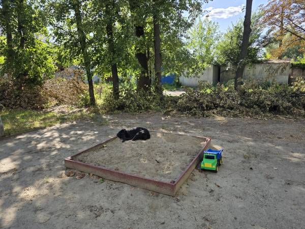 Парк на Теремках. У пісочниці на дитячому майданчику спить собака з кліпсою у вусі