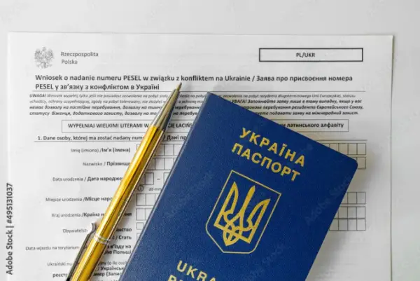 Мінфін: PESEL UKR можуть анулювати, хто має встигнути до 31 серпня