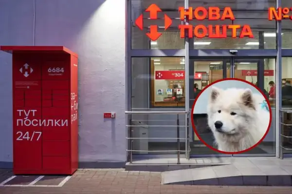 Співзасновник “Нової пошти” назвав найбільшу репутаційну кризу компанії