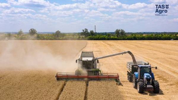 ТАС Агро” зібрало ранні зернові й олійні з 33,5 тисяч гектарів