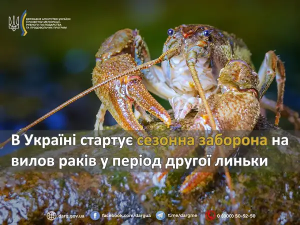 Заборона на вилов раків